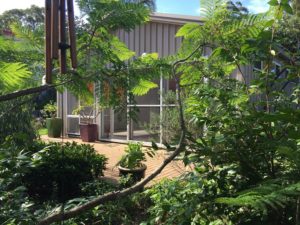 broulee yoga studio garden