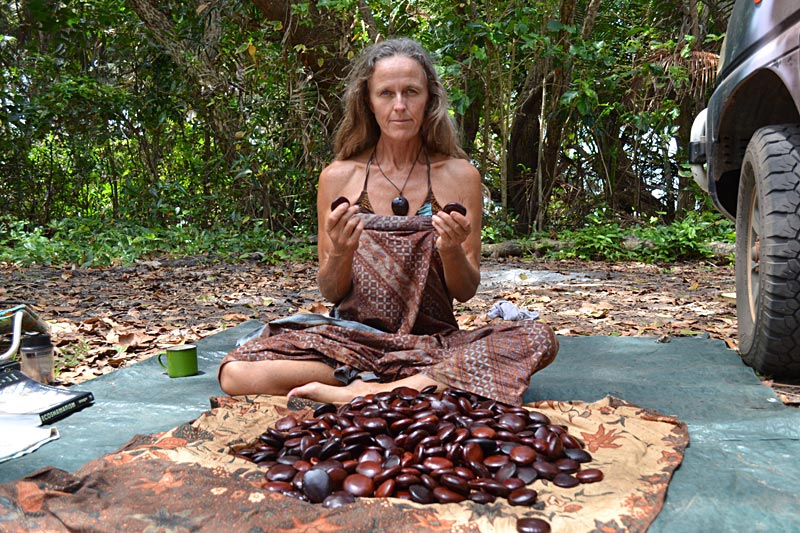 Sea Heart Seeds radiant sun