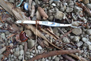 toothbrush ocean rubbish and heart seed washed up nth qld