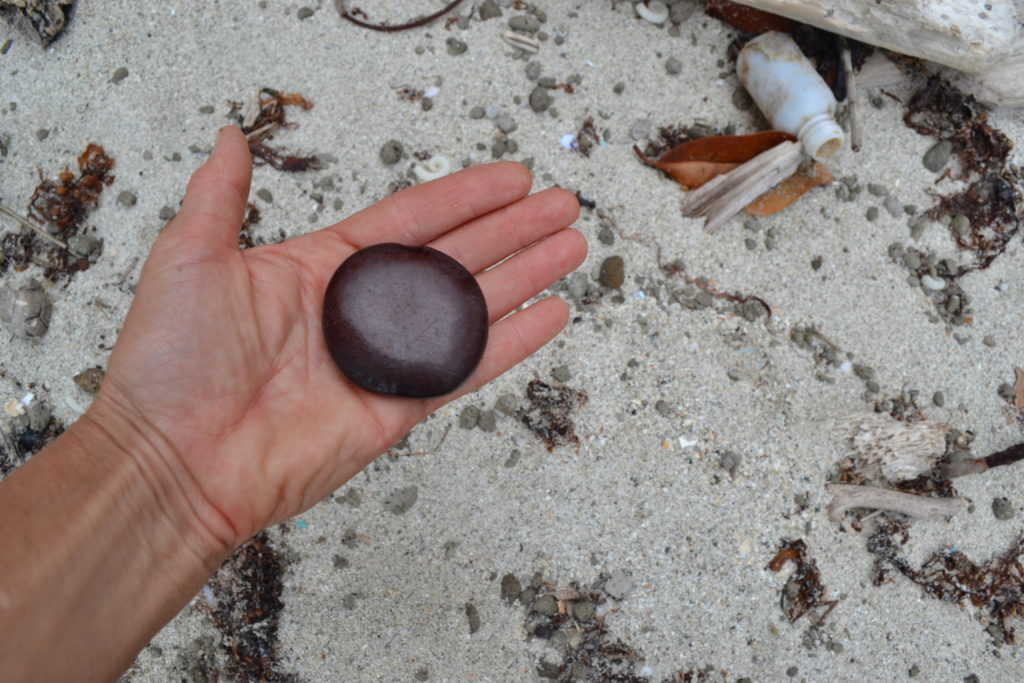 Sea Heart Seeds radiant sun