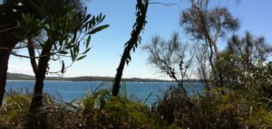headland walk south coast nsw