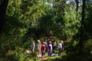 meditation standing grove broulee yoga retreat